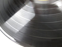 Load image into Gallery viewer, ELVIS PRESLEY THAT'S WAY IT IS SX-201 with OBI Japan LP Vinyl A
