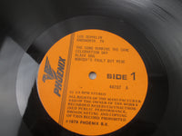 Load image into Gallery viewer, Led Zeppelin ‎Knebworth 79 LP Vinyl (Only one disc)

