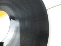 Load image into Gallery viewer, Bruce Springsteen Born to Run SOPO-96 with OBI Japan LP Vinyl
