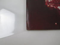 Load image into Gallery viewer, Jethro Tull War Child Chrysalis CHR 1067 with OBI Japan LP Vinyl
