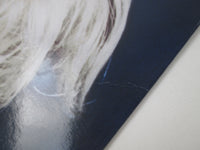 Load image into Gallery viewer, MADONNA TRUE BLUE SIRE P-13310 with OBI Japan LP Vinyl
