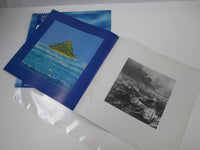 Load image into Gallery viewer, Premiata Forneria Marconi The World Became P-8444M with OBI Japan LP Vinyl
