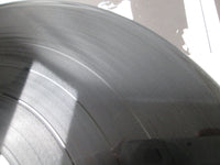 Load image into Gallery viewer, DEEP PURPLE IN ROCK WARNER P-10108W with OBI Japan LP Vinyl
