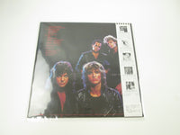 Load image into Gallery viewer, STONE FURY BURNS LIKE A STAR MCA P-13064 with OBI Japan LP Vinyl
