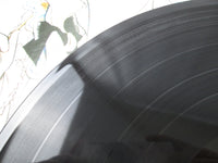 Load image into Gallery viewer, Candy Candy OST CS-7022 with OBI Japan LP Vinyl
