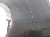 Load image into Gallery viewer, Aerosmith Live Bootleg CBS/Sony 40AP 1170~1 with OBI Poster Japan LP Vinyl
