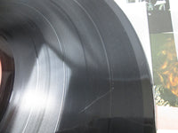 Load image into Gallery viewer, Aerosmith Live Bootleg CBS/Sony 40AP 1170~1 with OBI Poster Japan LP Vinyl
