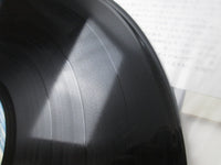 Load image into Gallery viewer, Led Zeppelin ‎Coda P-11319 with OBI Japan LP Vinyl
