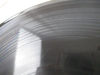 Load image into Gallery viewer, LED ZEPPELIN 2 ATLANTIC P-10101A with OBI Japan LP Vinyl
