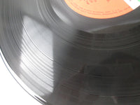 Load image into Gallery viewer, LED ZEPPELIN 2 ATLANTIC P-10101A with OBI Japan LP Vinyl
