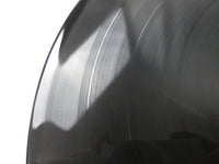 Load image into Gallery viewer, Weather Report FCPA-750 Japan LP Vinyl
