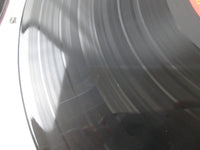 Load image into Gallery viewer, Janis Ian Greatest Hits 36AP 2455,6 with OBI Japan LP Vinyl
