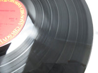 Load image into Gallery viewer, Janis Ian Greatest Hits 36AP 2455,6 with OBI Japan LP Vinyl
