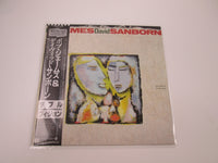 Load image into Gallery viewer, Bob James / David Sanborn Double Vision P-13283 with OBI Japan LP Vinyl
