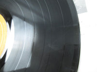 Load image into Gallery viewer, The Edgar Winter Group Shock Treatment ECPM-66 with OBI Japan LP Vinyl
