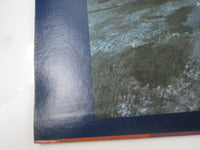 Load image into Gallery viewer, CREEDENCE CLEARWATER REVIVAL GOLD FANTASY SWX-6253 with OBI Japan LP Vinyl
