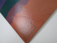 Load image into Gallery viewer, CREEDENCE CLEARWATER REVIVAL GOLD FANTASY SWX-6253 with OBI Japan LP Vinyl
