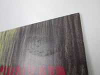 Load image into Gallery viewer, SIMPLY RED PICTURE BOOK ELEKTRA P-13228 with OBI Japan LP Vinyl
