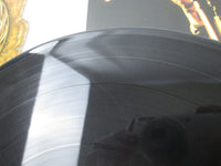 Load image into Gallery viewer, Whitesnake CBS/Sony 28AP 3310 with OBI Japan LP Vinyl
