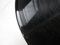 Load image into Gallery viewer, Neil Diamond Jonathan Livingston Seagull OST SOPO-1 with OBI Japan LP Vinyl
