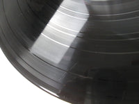 Load image into Gallery viewer, Neil Diamond Jonathan Livingston Seagull OST SOPO-1 with OBI Japan LP Vinyl
