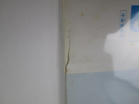 Load image into Gallery viewer, Taeko Ohnuki Cliche RCA RHL-8807 with OBI Japan LP Vinyl
