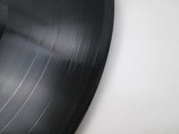 Load image into Gallery viewer, The Doors ‎The Best Of The Doors 960345 LP Vinyl
