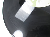 Load image into Gallery viewer, Ludichrist Immaculate Deception 88561 LP Vinyl
