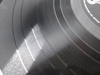 Load image into Gallery viewer, The Animals Golden Disk EOP-95029B with OBI Japan LP Vinyl
