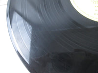 Load image into Gallery viewer, Disney's Children's Favorites Vol.1 GZ-7190-DR with OBI Japan LP Vinyl
