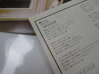Load image into Gallery viewer, Tubeway Army Replicas Atlantic P-10729A with OBI Japan LP Vinyl
