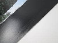 Load image into Gallery viewer, John Foxx The Garden VIP-6982 with OBI Japan LP Vinyl
