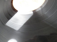 Load image into Gallery viewer, TED NUGENT ECPO-92 with OBI Japan LP Vinyl
