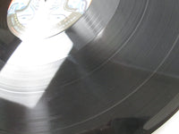 Load image into Gallery viewer, Tash Sultana Flow State MP 364 LP Vinyl
