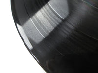 Load image into Gallery viewer, Led Zeppelin P-8041 with OBI Poster Japan LP Vinyl
