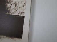 Load image into Gallery viewer, ANIMALS Greatest Hits and More ERS-81606 with OBI Japan LP Vinyl
