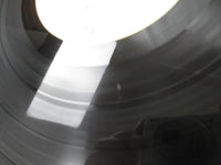 Load image into Gallery viewer, Styx Crystal Ball GP 2027 with OBI Japan LP Vinyl
