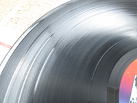 Load image into Gallery viewer, Creedence Clearwater Revival ‎Cosmo's Factory LP-80054with OBI Japan LP Vinyl B
