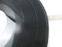 Load image into Gallery viewer, The Allman Brothers Band  Promo SWX-6223 with OBI Japan LP Vinyl
