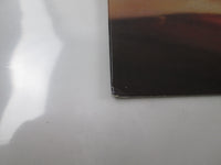 Load image into Gallery viewer, TED NUGENT PENETRATOR ATLANTIC P-11471 with OBI Japan LP Vinyl
