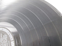 Load image into Gallery viewer, The Astronauts The Great Hits Of The SRA-9042,3 with OBI Japan LP Vinyl
