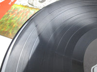 Load image into Gallery viewer, Songs Made Famous By The Rolling Stones OPS-026 (AVE-4304) with OBI LP Vinyl
