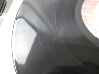 Load image into Gallery viewer, LED ZEPPELIN SONG REMAINS THE SAME P-4607~8N with OBI Japan LP Vinyl
