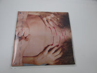 Load image into Gallery viewer, TED NUGENT CAT SCRATCH FEVER EPIC 25AP 592 with OBI Japan LP Vinyl
