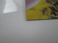 Load image into Gallery viewer, Riot Fire Down Under Promo VIP-6773 with OBI Japan LP Vinyl
