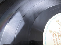 Load image into Gallery viewer, URIAH HEEP SALISBURY BRONZE WBS-40206 with OBI Japan LP Vinyl
