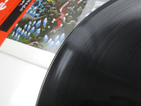 Load image into Gallery viewer, Freddie King Texas Cannonball BT-5365 with OBI Japan LP Vinyl
