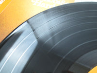 Load image into Gallery viewer, Françoise Hardy La Vie Privée ECPM-57 with OBI Japan LP Vinyl
