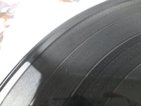 Load image into Gallery viewer, BUSTER RVP-6177 with OBI Sheet Japan LP Vinyl
