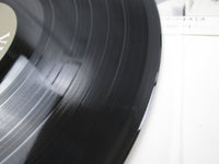 Load image into Gallery viewer, The Cassandra Crossing OST VIP-7218 with OBI Japan LP Vinyl
